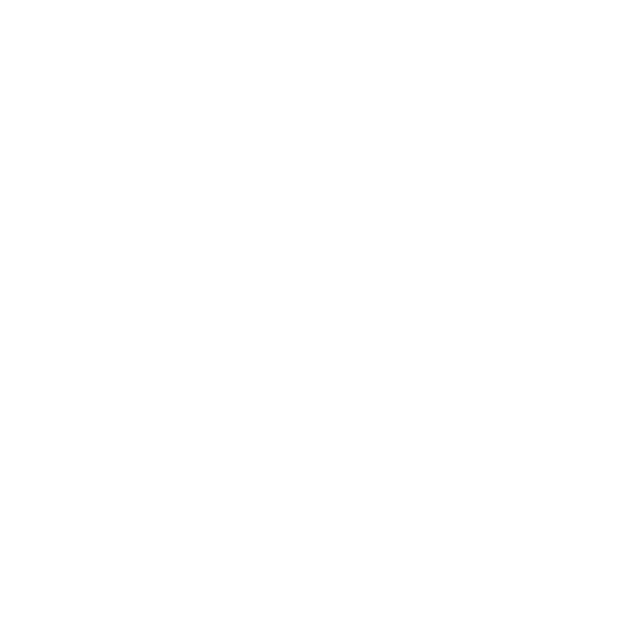 Success Icon